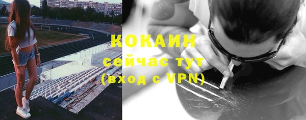 сатива Краснотурьинск