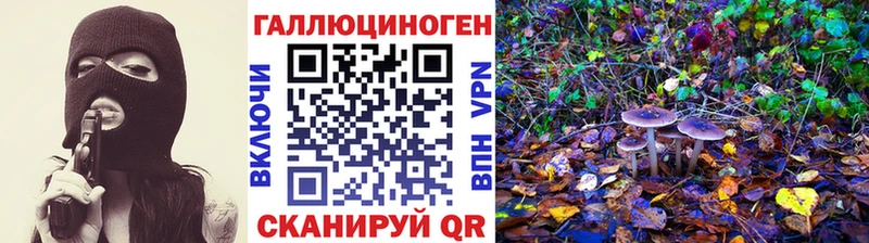 Псилоцибиновые грибы Cubensis  мориарти телеграм  Называевск 